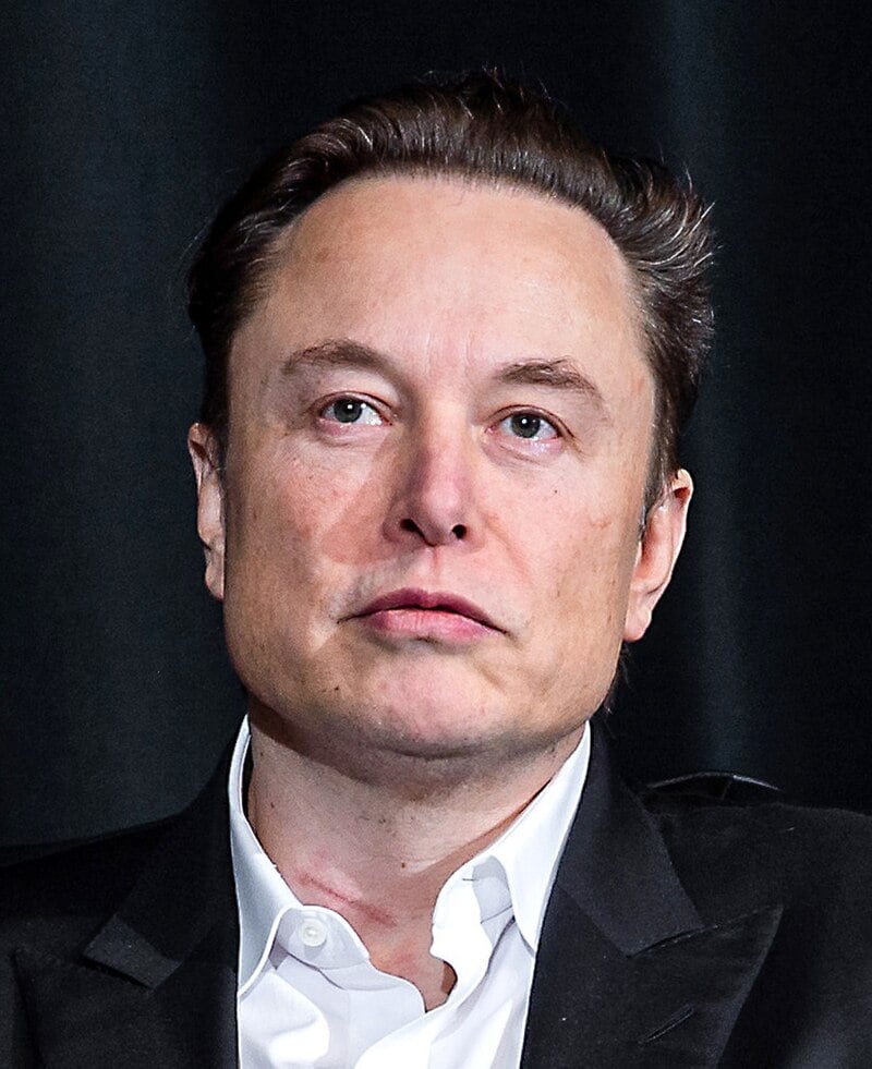 Elon Musk - prominent businessman and influencer
